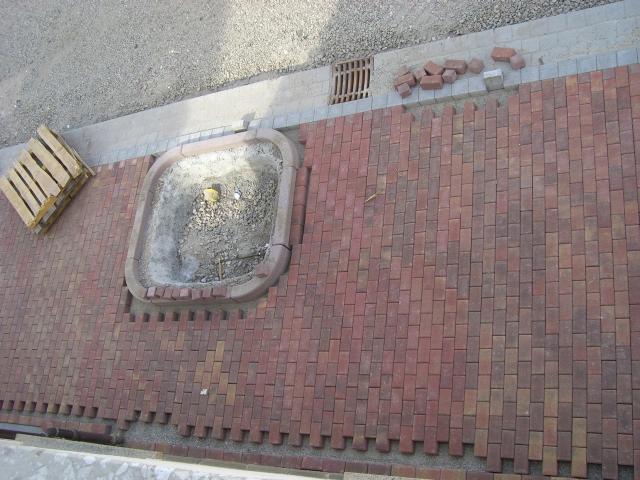 CIMG1405