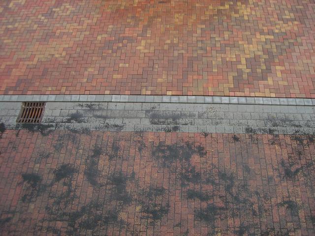 CIMG1468
