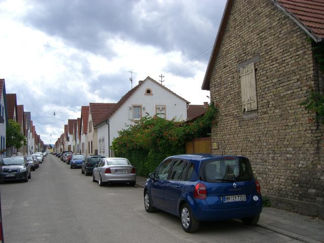 CIMG1498
